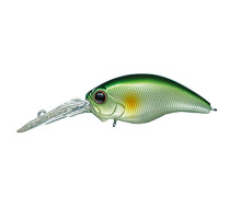 Wobbler Ever Green WILD HUNCH 8 FOOTER | #27 AYU