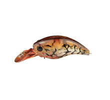 Wobbler EverGreen Wild Hunch SR # 82