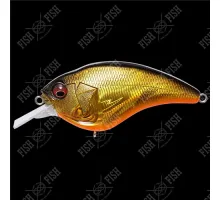 Wobbler Megabass SonicSide col. GG MEGABASS KINKURO