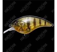 Wobbler Megabass SonicSide col. GP PRO PERCH