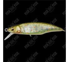 Воблер Megabass GREAT HUNTING 50 FLAT SIDE (FS) col. TAKUMI KAWAMASU