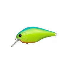 Wobbler Ever Green ZERUCH PETIT | #28