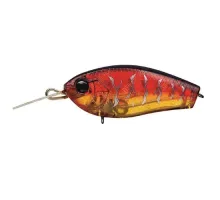 Wobbler Evergreen CRAFT | # 19