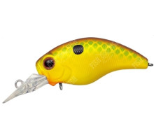 Wobbler Ever Green WILD HUNCH SR #361