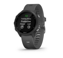 Смарт-годинник Garmin Forerunner 245 сірі