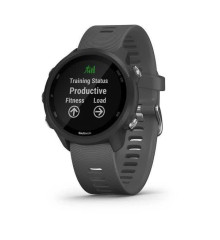 Garmin Forerunner 245 Smartwatch (Gray)