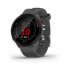 Garmin Forerunner 55 Monterra Gray Smartwatch