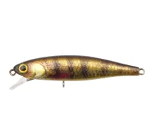 Lure Jackall Tiny Fry 65SP 65mm 5.6g RT Lively Perch