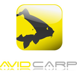 Avid Carp