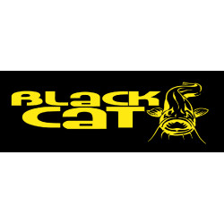 Black Cat