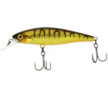 Lure Jackall Squad Minnow 65SP 65mm 5.8g HL Shinning Tiger Suspending