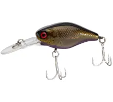 Lure Jackall Diving Chubby 38mm 4,3g HL Black