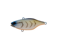 Wobbler Jackall Skull Shell TN70 Maruhata Sound 17.3g Bone Blue Craw