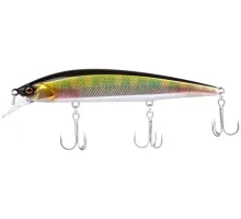 Lure Jackall Rerange 110SP 14.8g Oikawa