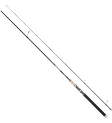 Спінінг Savage Gear Titanium Spin 9’/2.75m 30-80g