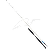 Spinning rod Savage Gear Salt 1DFR Pop n Stick 7'9