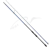 Spinning rod Savage Gear SGS6 Long Casting 9'6''/2.90m 15-50g