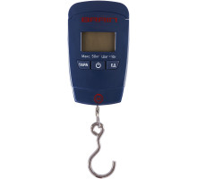 Brain fishing scales 50kg