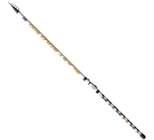Rod Brain Blast Bolo 6m