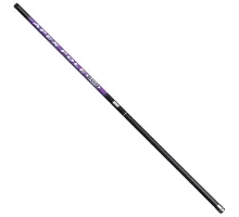 Fishing rod Brain Apex pole 4 m