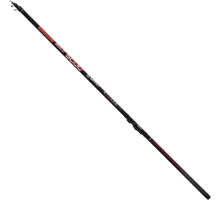 Bolognese rod Brain Classic Strong Bolo 5.00m 10-30g