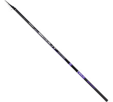 Bolognese rod Brain Scout SE Bolo 6m