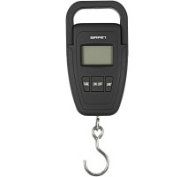 Ваги Brain Fishing Scales 50kg*10g