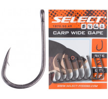 Select Carp Wide Gape 2 Hook, 10 / pack