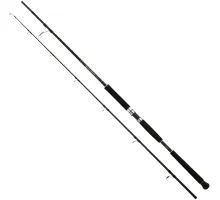 Spinning rod Shimano Beastmaster Pilk 2.40m 150-300g