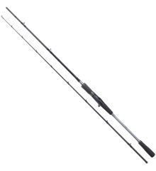 Спиннинг Shimano Yasei AX Pike Swimb & BB Cast 24XXH 2.40m 120-170g