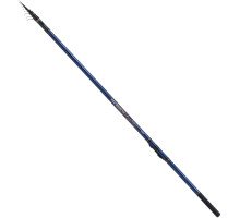 Bolognese rod Shimano Technium Lite TE GT 600 5.90m 250g