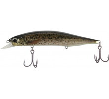 Lure DUO Realis Jerkbait 120SP Pike 120mm 17.8g CCC3815 Brown Trout ND