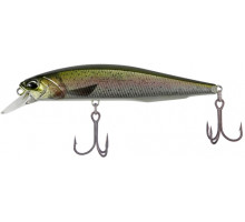 Lure DUO Realis Jerkbait 100SP PIKE 100mm 14.5g CCC3836 Rainbow Trout ND