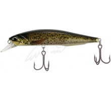 Воблер DUO Realis Jerkbait 100SP PIKE 100mm 14.5g CCC3815 Brown Trout ND