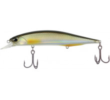 Lure DUO Realis Jerkbait 120SP Pike 120mm 17.8g ANA3261 Silver Roach