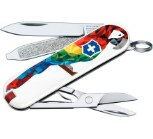 Knife VICTORINOX 0.6223.L1709 Classic 