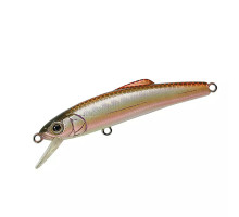 Lure Tackle House TM Buffett SD65 65mm 4.5g #Abrahaya