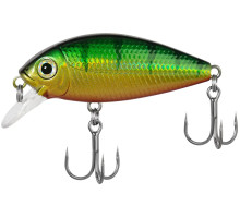 Wobbler X-Fish Karas 50F 50mm 5.8g #099 (0.5-0.7m)