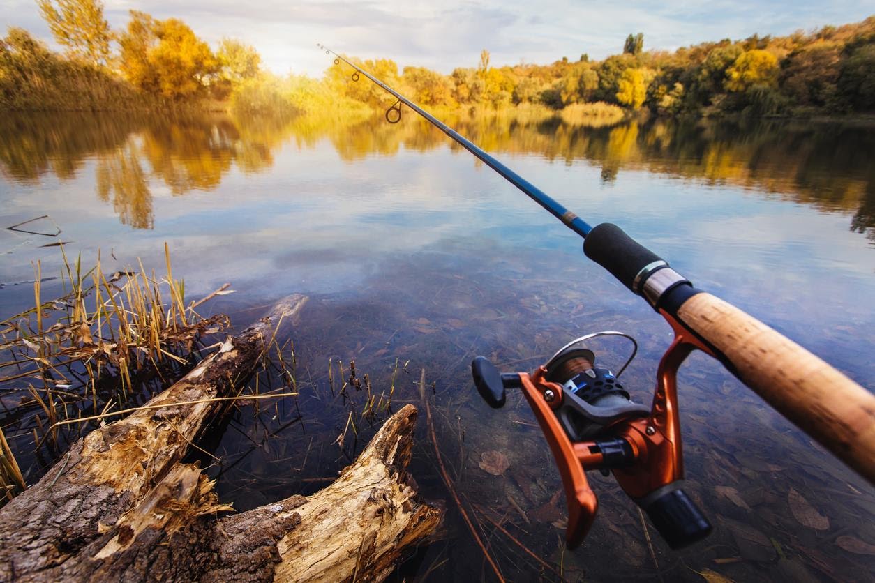 The best spinning rods for twitching